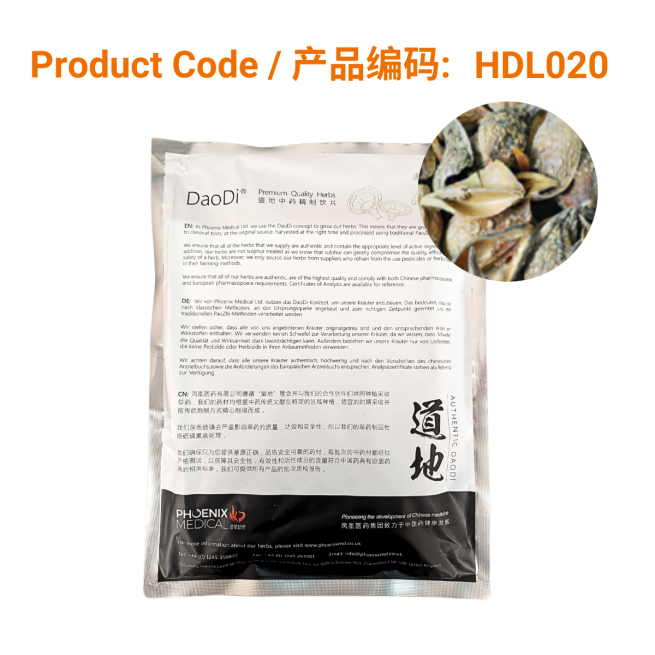 Lian Qiao - 连翘