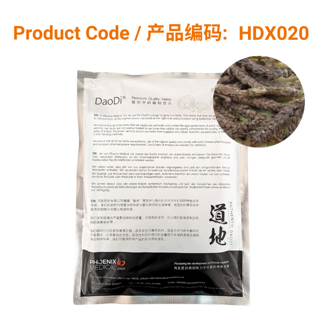 Xia Ku Cao - 夏枯草