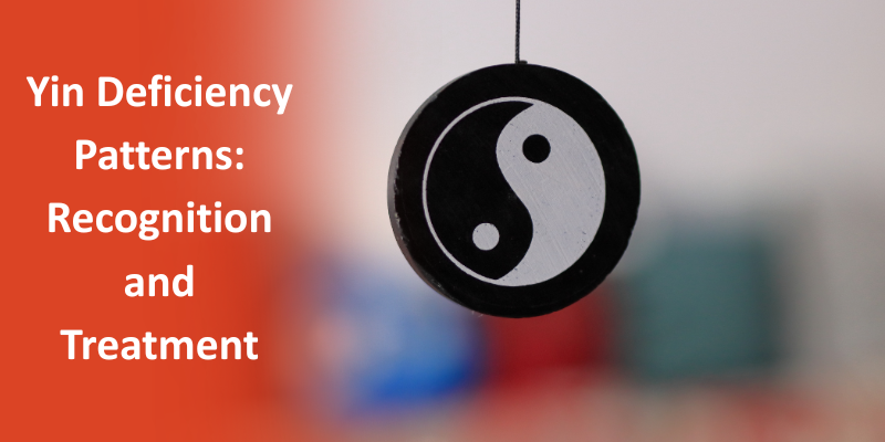 Yin Deficiency Blog Post
