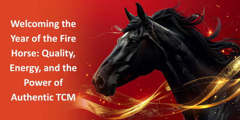 Welcoming the Year of the Fire Horse