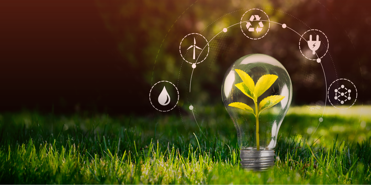 Phoenix Medical sustainability